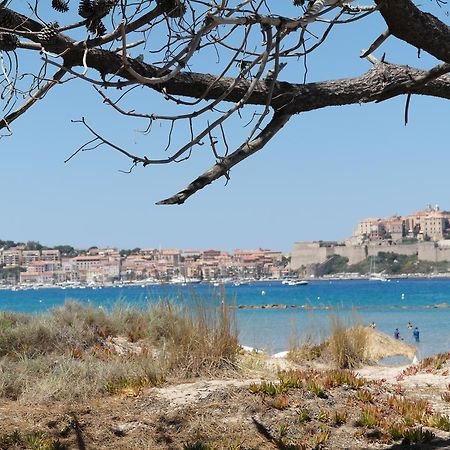 Residence Thalassa Calvi  Dış mekan fotoğraf