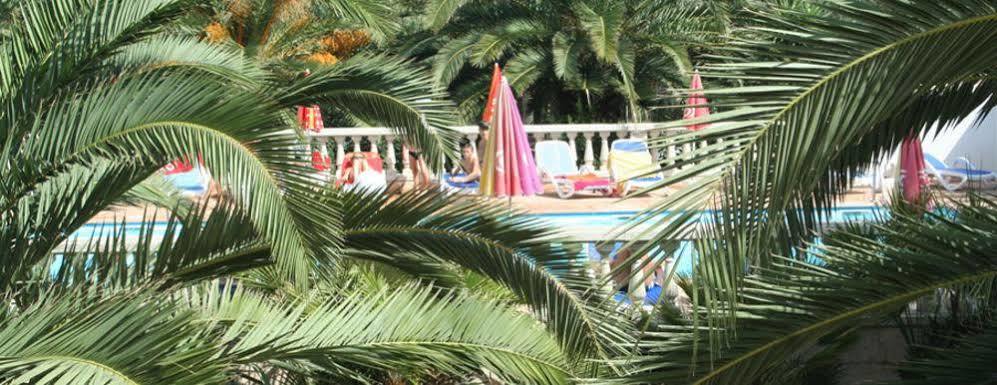 Residence Thalassa Calvi  Dış mekan fotoğraf