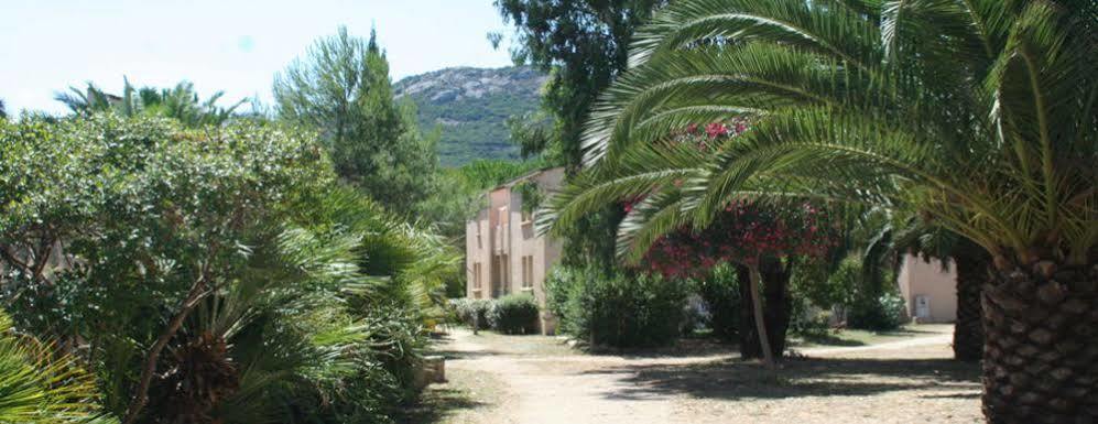 Residence Thalassa Calvi  Dış mekan fotoğraf